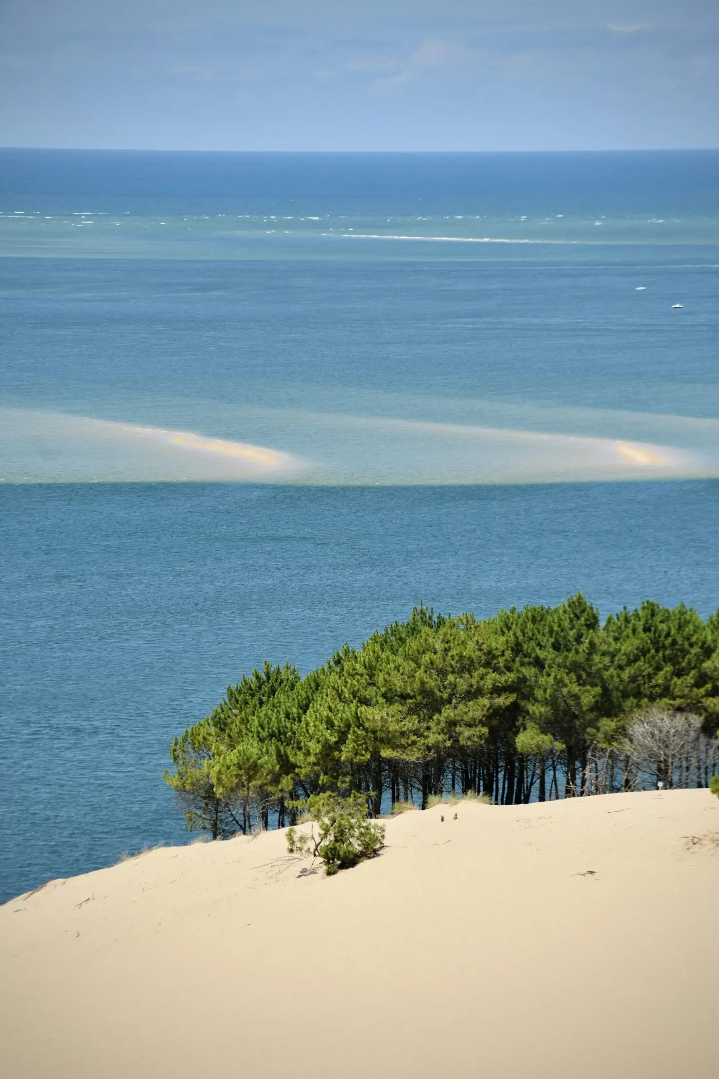 Dune du Pilat et Bassin d'Arcachon — traitement anti-moustique à Gujan-Mestras