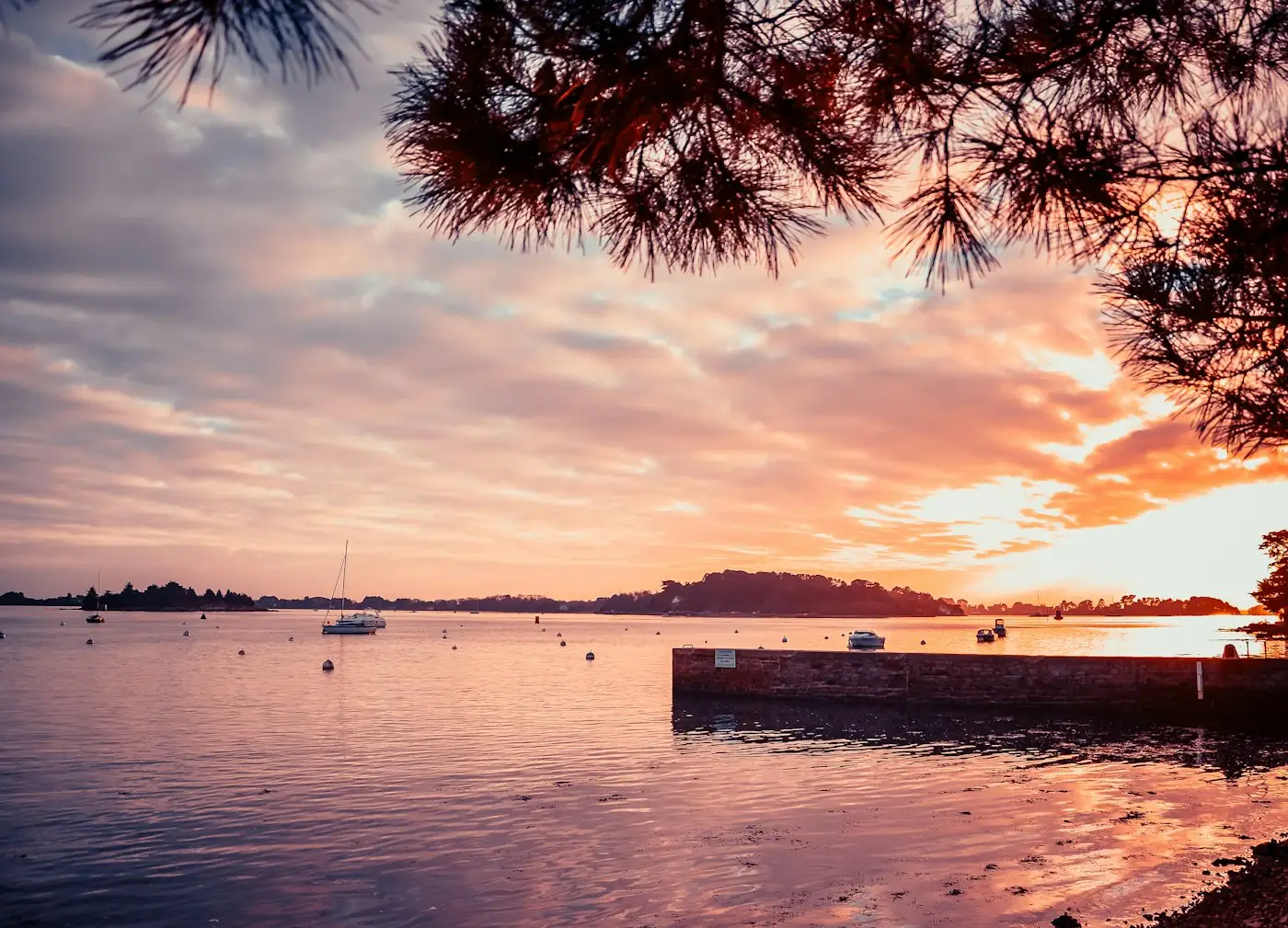 Coucher de soleil sur le Bassin d'Arcachon — traitement anti-moustique à Lège-Cap-Ferret