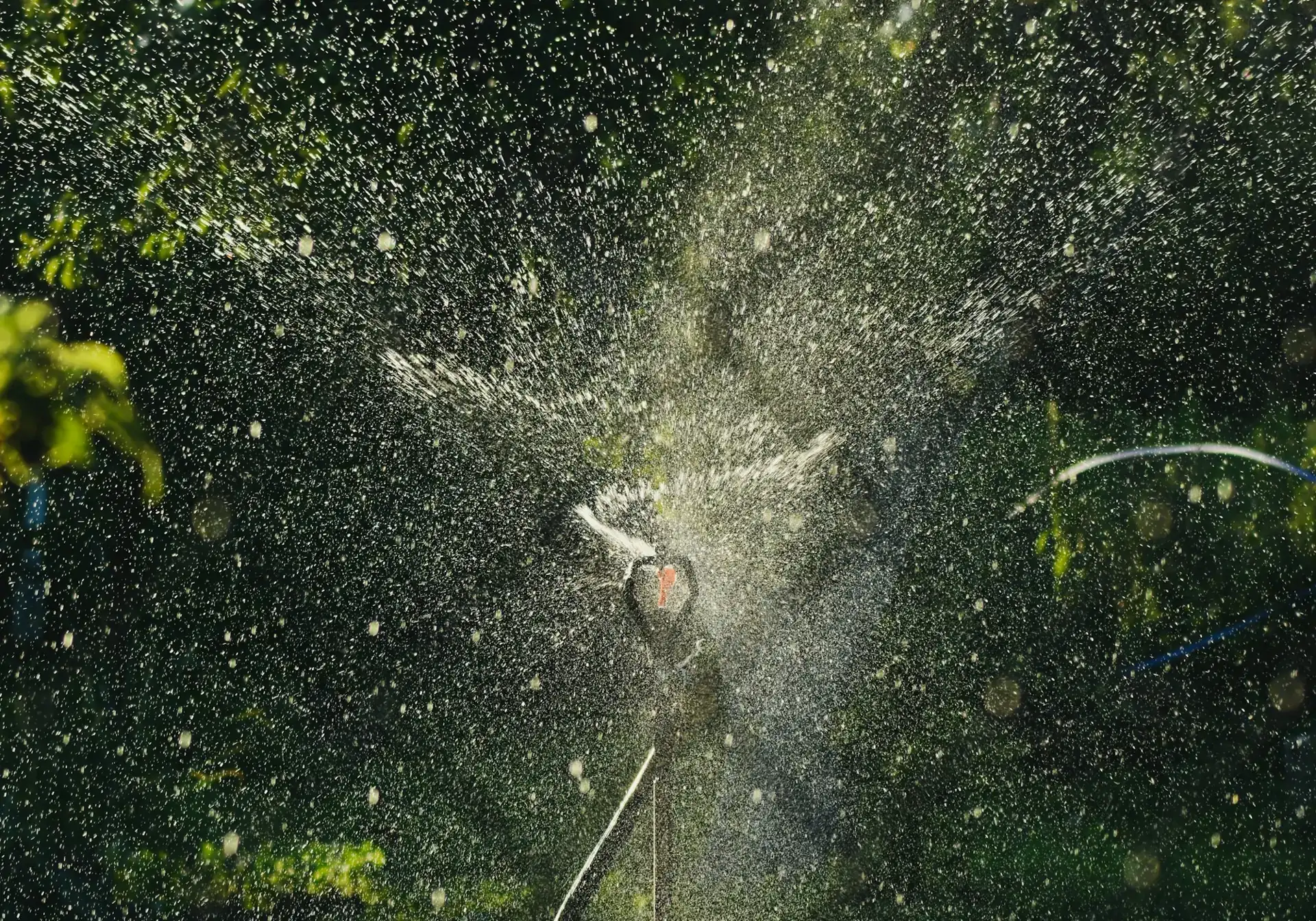 Brume fine de traitement dans la végétation