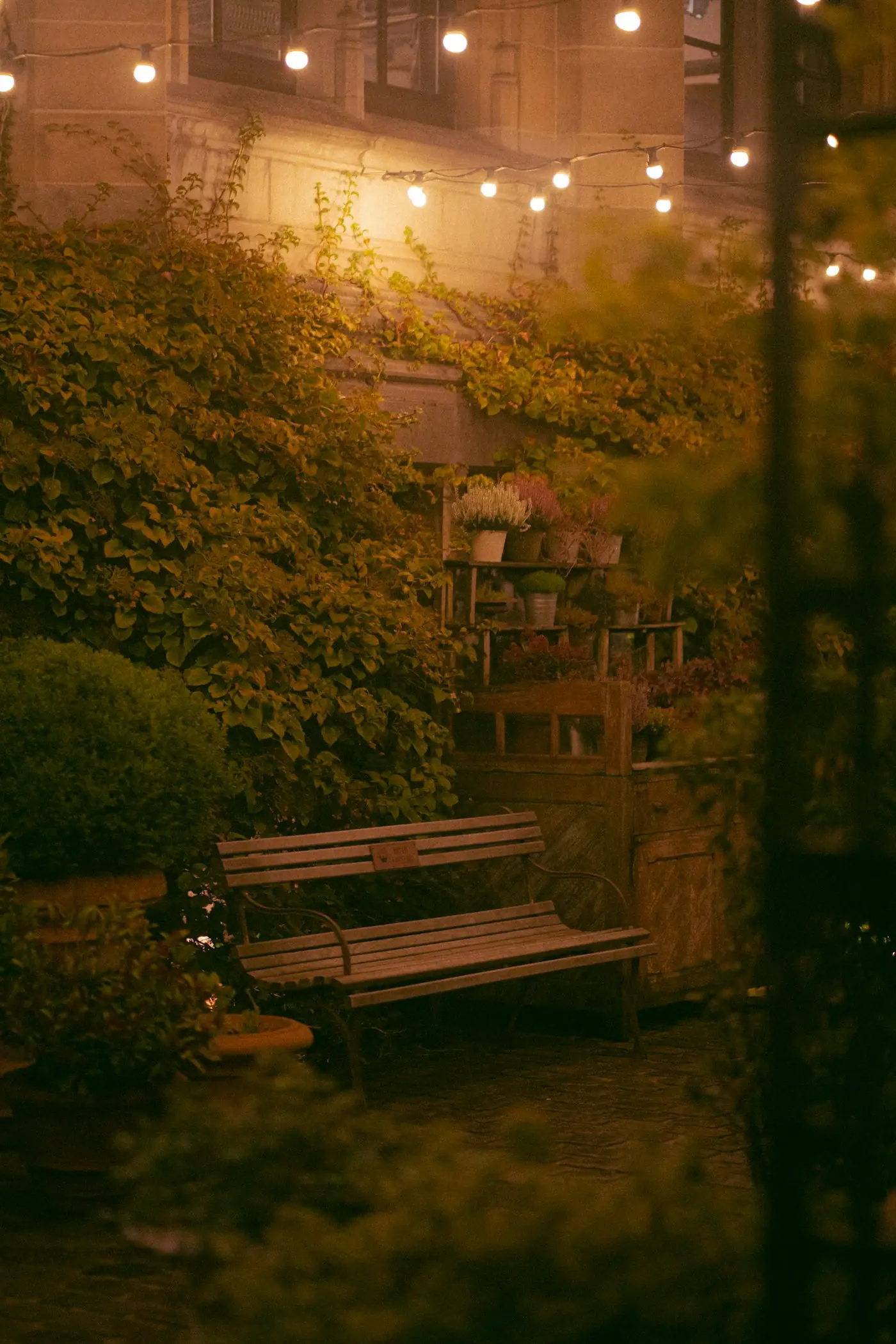 Jardin le soir avec guirlandes lumineuses, sans moustiques