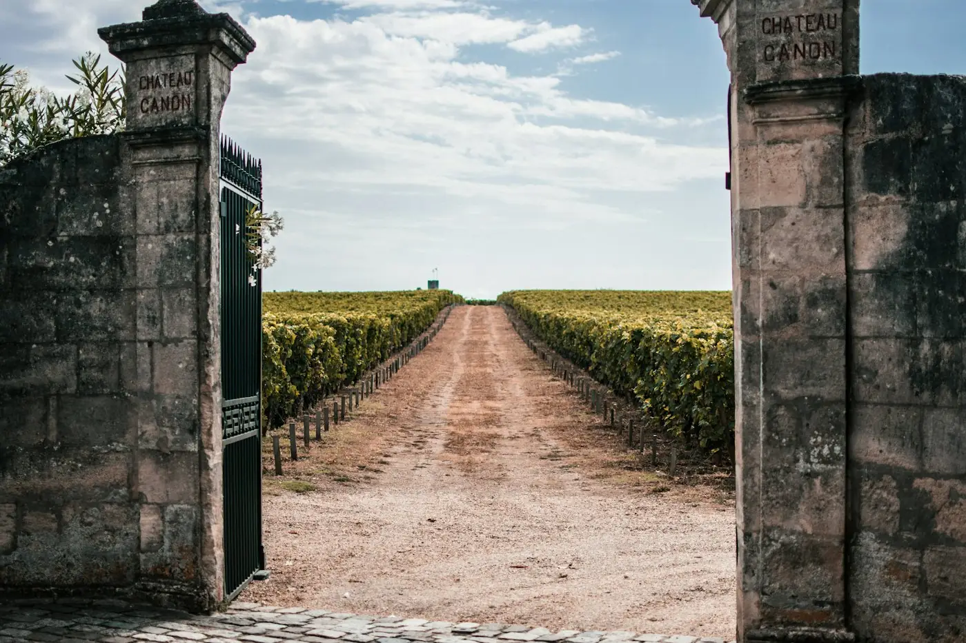 Jardin et vignes en hiver en Gironde