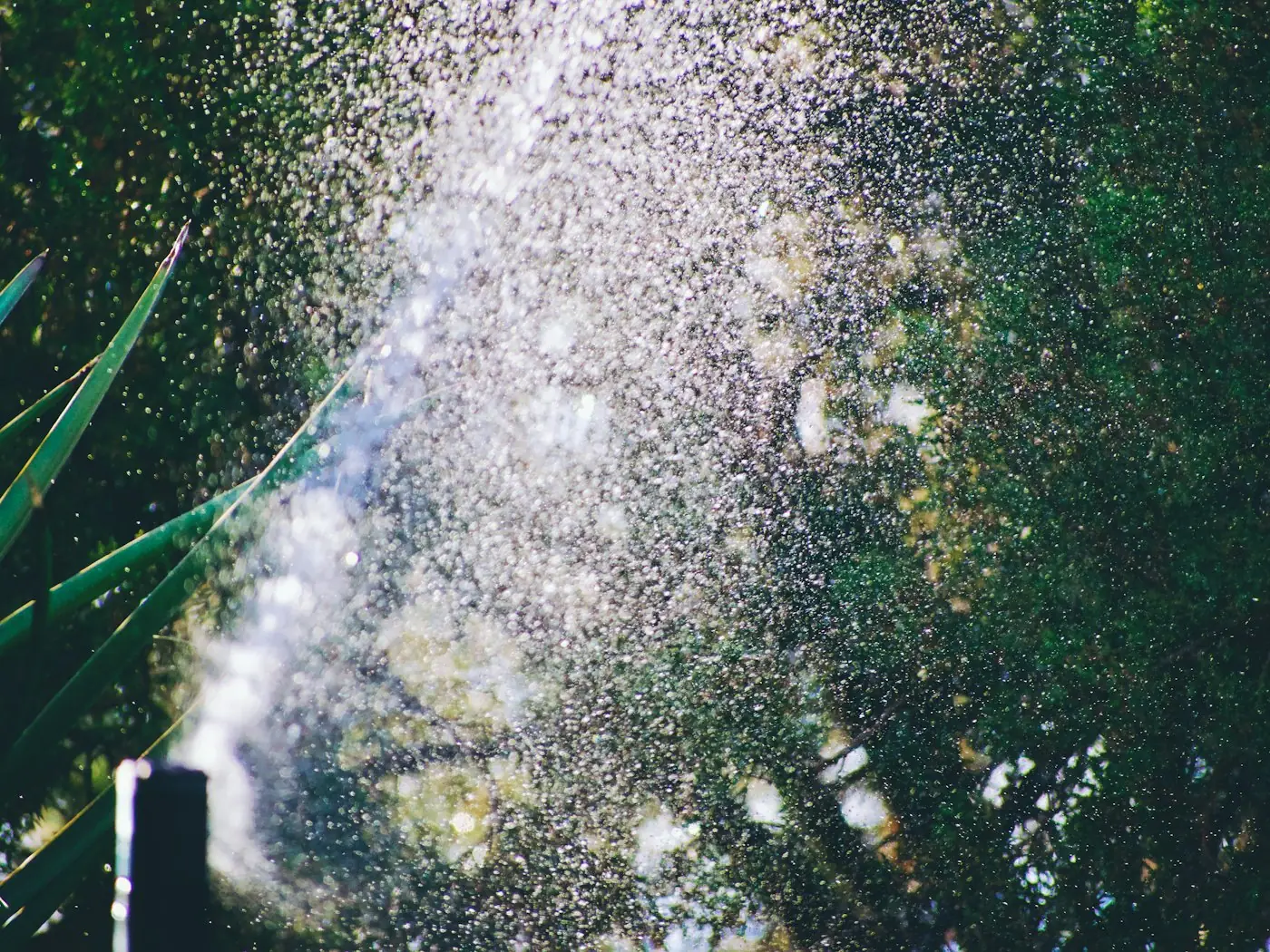 Nébulisation anti-moustique dans un jardin de Gironde
